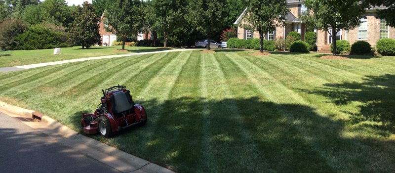 About Bone’s Yard Care Solutions, Denver, NC