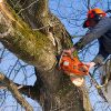 Tree Pruning