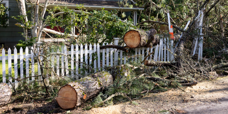 Debris Hauling in Denver, North Carolina